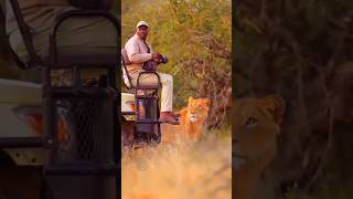 Jungali Janwar ...Read More