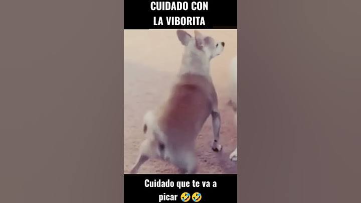 la viborita 🤣🤣#culebra #perros #fpy #viral #xd