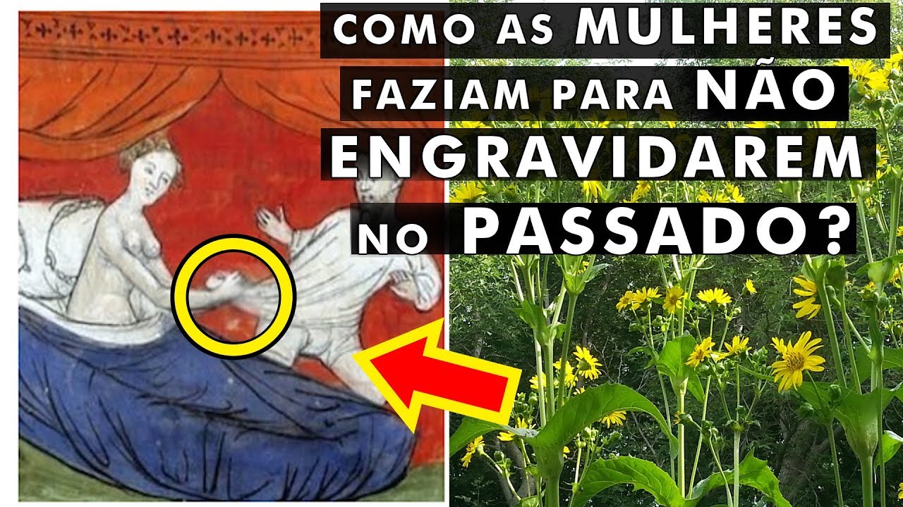 6 fatos CHOCANTES da história