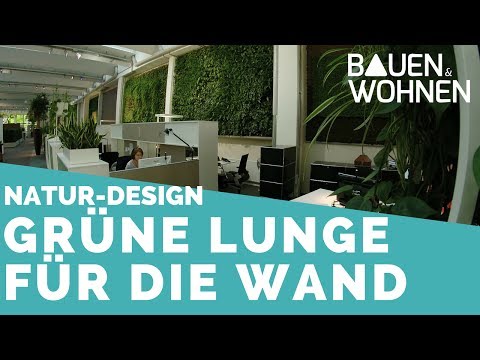 Begrünte Wände – Wohlfühlklima und bessere Raumluft