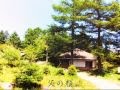 帰郷/伊藤愛子