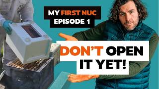 My First Nucleus – Episode 1 – Should I Keep Bees Hiving the Nuc and Feeding