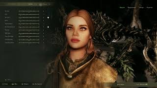 : Skyrim Flappy 2.8.0 |   