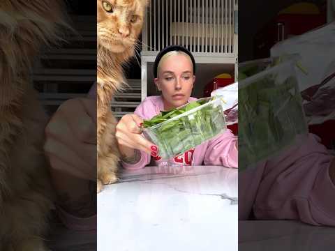 глютен и холестерин на завтрак #cooking #food #breakfast #recipe