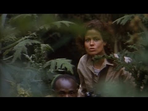 Gorillas In The Mist - Official Trailer [HD]