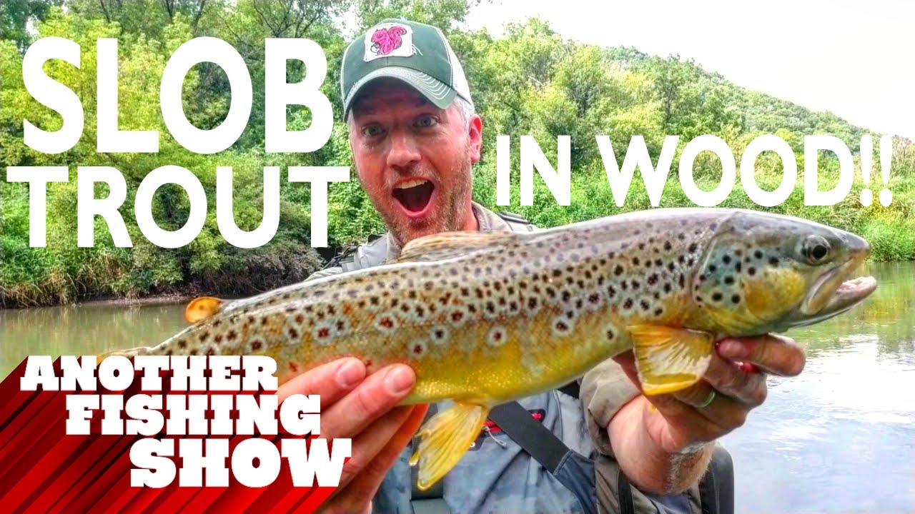 HUNTING SLOB TROUT IN SAND AND WOOD!! YouTube