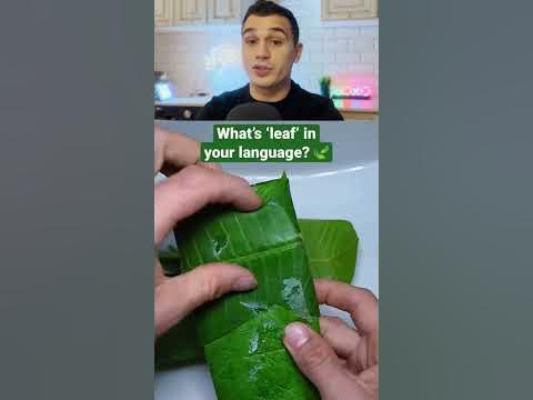 АЙФОН ИЛИ ШОКОЛАДКА? 📱🍫 - YouTube