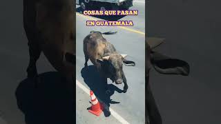 COSAS QUE SOLO PASAN EN GUATEMALA