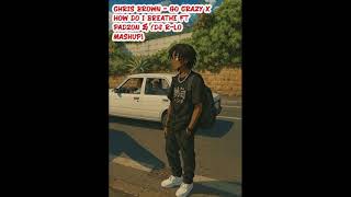 Chris Brown  Go Crazy X How Do I Breathe Ft Padzon U0026 dj lo Mashup