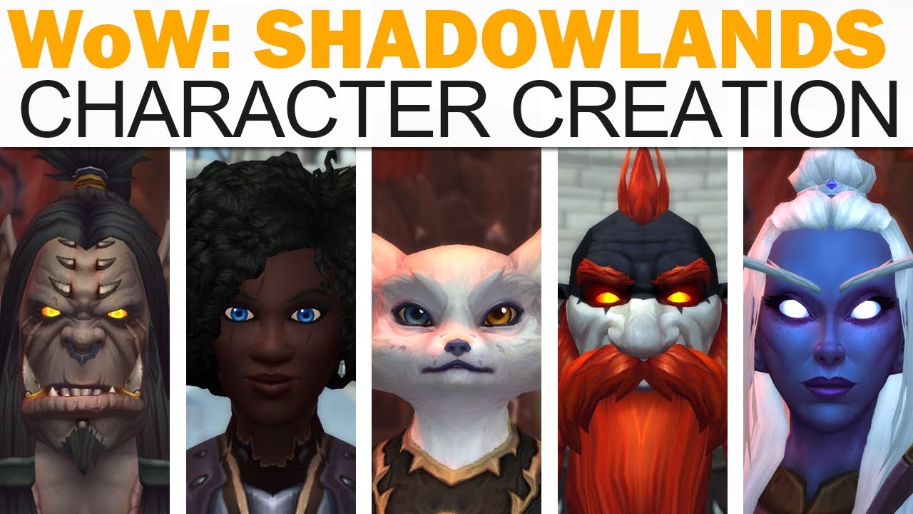 World of Warcraft: Shadowlands' customization is instead of a new