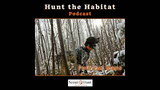 #11 How to make valuable Hunting Season Reflections & Dogs in cold weather