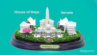 Congressional elections explained: What's at stake at midterms? | theSkimm