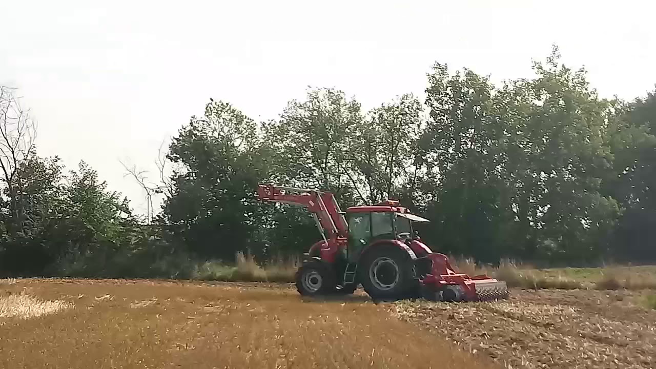 Talerzowanie 2018 !!! Zetor Proxima i euromasz