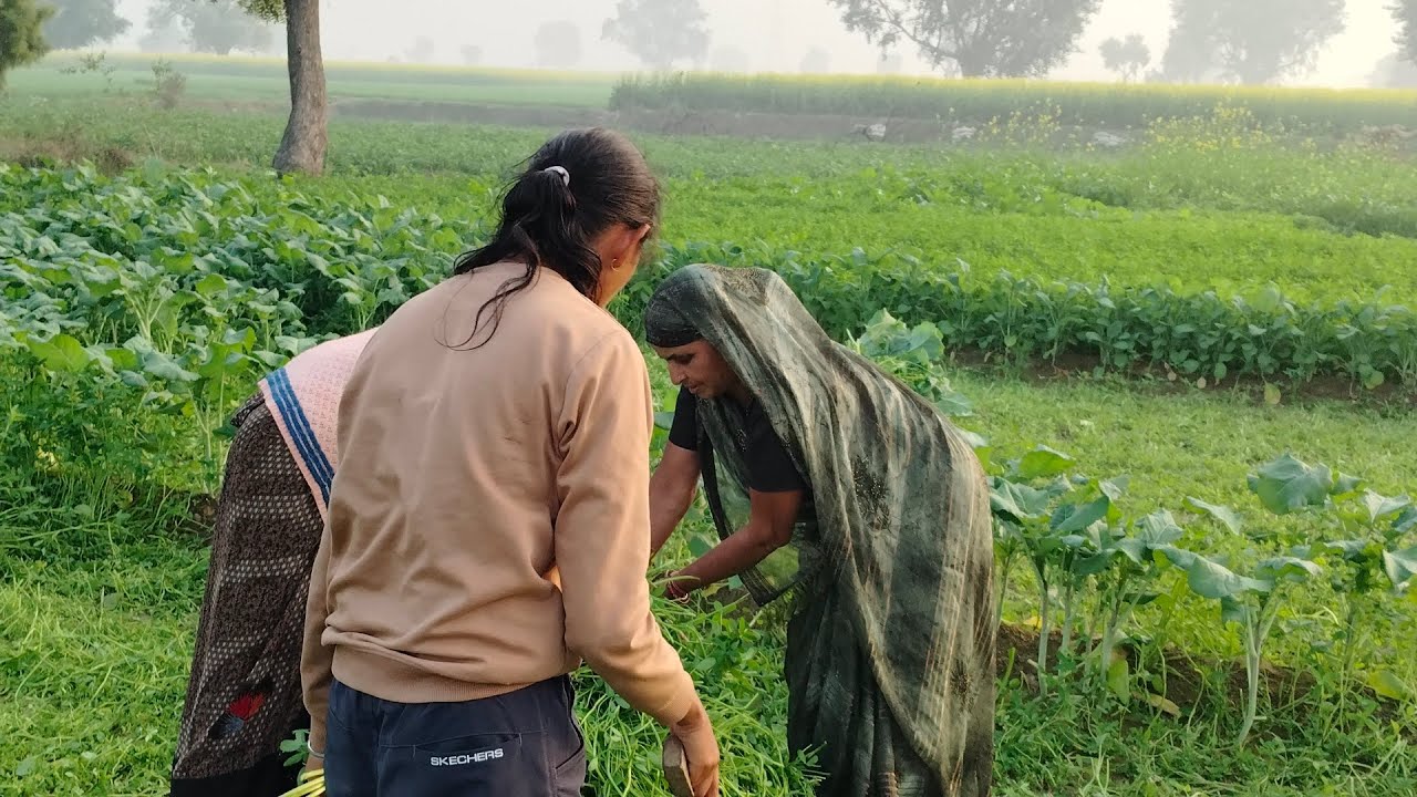 मम्मी भैंसों के लिए चारा ले जा रही 😍 !! तभी क्या बहुत भयानक हुआ 😱