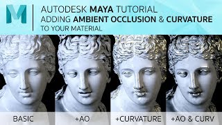 Autodesk Maya Tutorial Add Ambient Occlusion And Curvature