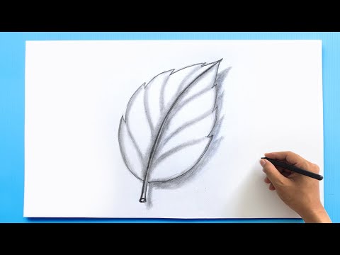 Leaf Pencil Drawing 🍃| Pencil Sketch drawing tutorial 🍂