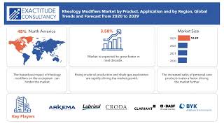 Rheology Modifiers Market | Exactitude Consultancy Reports