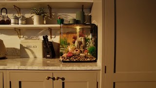 Biorb Flow Aquarium Product Overview