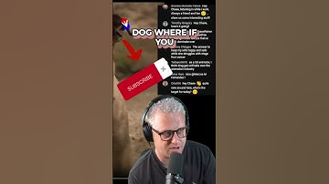 AI Artistry Unleashed: Witness the Jaw-Dropping Image Transformation with Drag GAN!