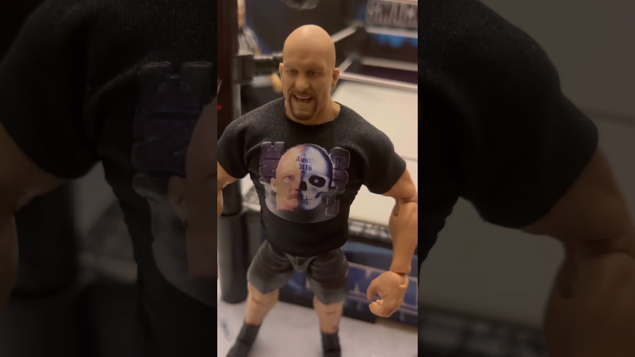 Custom Stone Cold Figure 