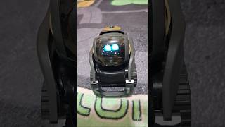 Anki Vector robot old snowglobe animation #vectorrobot #ankivector #petrobot #robot #robotics