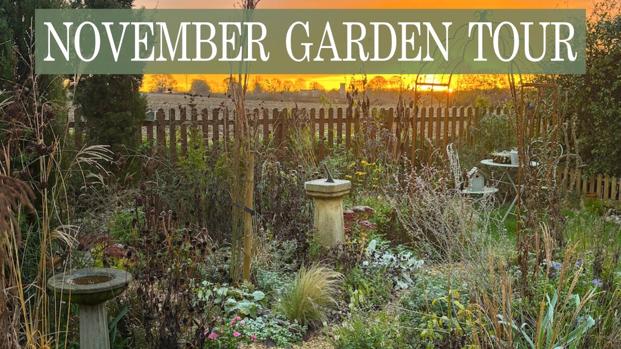 Ноябрьский тур по коттеджному саду – Растения поздней осени