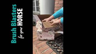 Virtue Soap Company—Product Demos & Reviews!
