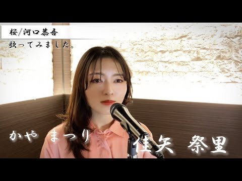 桜/河口恭吾　佳矢祭里(かや まつり)が歌ってみました。