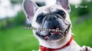 Can Dogs Eat Tuna? Guidelines and Benefits for Safe Consumption