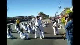 Taekwondo Demo at Bolsa Tet Parade