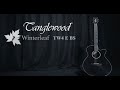 Tanglewood guitars winterleaf tw4 e bs   official demo