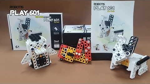 [ROBOHUB VIETNAM] ROBOTIS PLAY 601 Zoomates