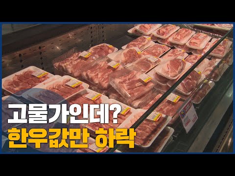 고물가인데? 한우값만 하락