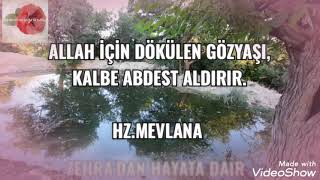 Sevdi̇kleri̇ni̇ze Özelgüzelanlamliözlü Sözlermesajlari Vi̇deolari 2021