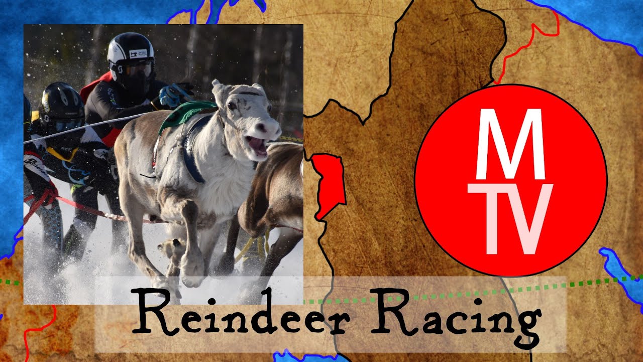 Muonio TV,  Reindeer Racing, Lapland, Finland