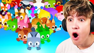 Nový Pet Simulator 99! image