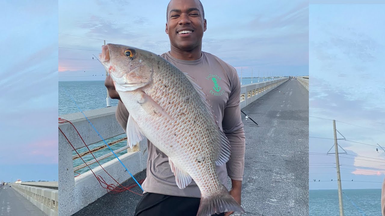 BIG Snapper in TERRIBLE Conditions from Bridge in the FL Keys! - YouTube