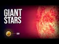 This star is 10 billion times larger than the sun  comparison of star sizes
