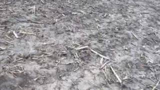 Ameren Easement