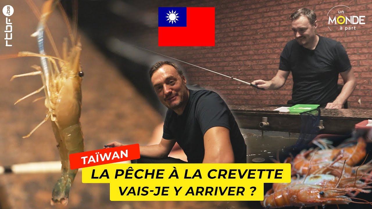 Lot De 6 Leurres De Pêche En Eau Salée - Appâts Crevettes Pondérés - Occasion