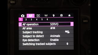 Canon R7 Auto-focus for Bird Photography