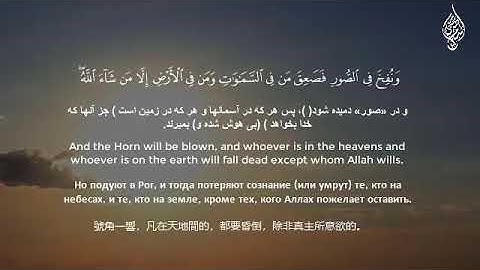 سورة الزمر مترجمة الى خمس لغات  للقارئ أسلام صبحي #أجمل_التلاوات_لاجمل_الاصوات​