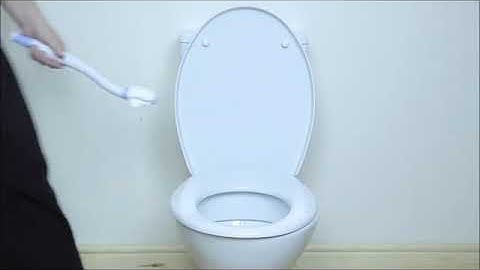 B70122 - Pinza per la carta igienica Buckingham Easywipe