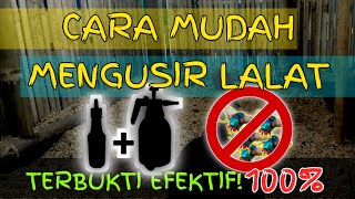 CARA MENGUSIR LALAT - DI KANDANG ATAU PELATARAN RUMAH KITA, TERBUKTI 100% AMPUH EFEKTIF