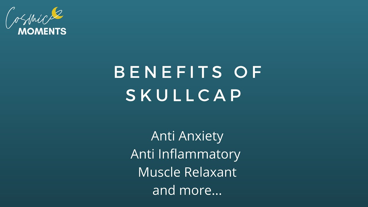 Benefits of Skullcap YouTube