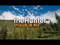 theHunter Call of the Wild™ Душевная Охота