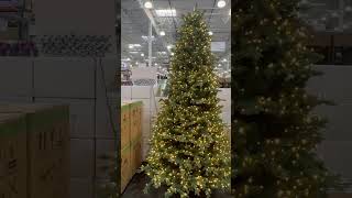Christmas Tree at Costco #costco #christmastree #costcodeals #costcofinds #savemoney