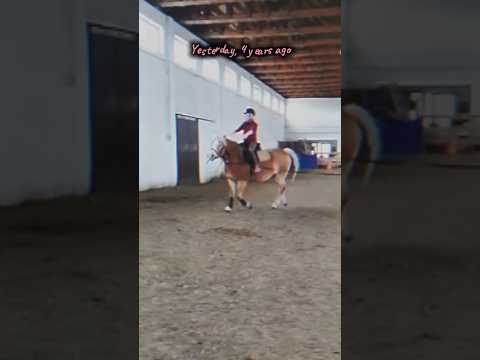 Yesterday? 🥹 #equestrian #horseriding #horse