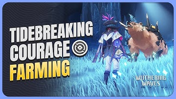 [With Route Map] Complete Tidebreaking Courage 3-Cost Echo Farming Guide | Wuthering Waves 2.0