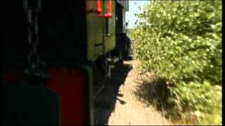 Wackelstein Express Shots From The Wagon